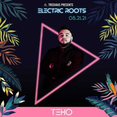 Live Set at Electric Roots 08/21/2021 - TreeHaus