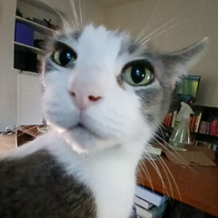 The Machinery We've Got