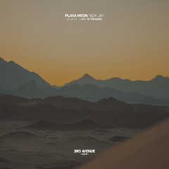 Playa Moon - In The Dark [3rd Avenue]