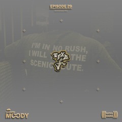 S.F.Y.E. Radio #29 (1 Anni Mix)