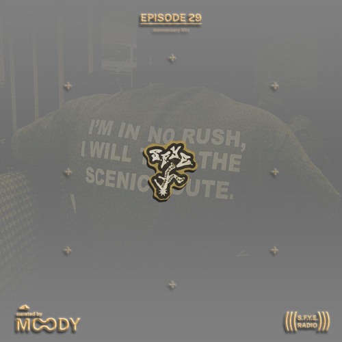 S.F.Y.E. Radio #29 (1 Anni Mix)
