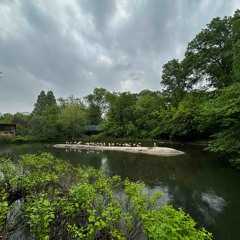 hell of it (tyrn) #sstep