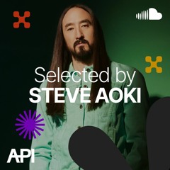 Selected by Steve Aoki