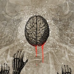 MY CRaZy BRain DRAFT