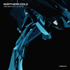 PULZAR PREMIERE: Northern Cold - Ascension (feat. LilaSkye)