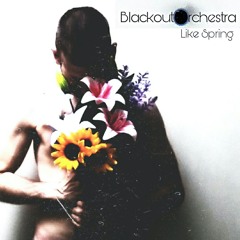 Blackout Orchestra - Like Spring (Radio Edit)