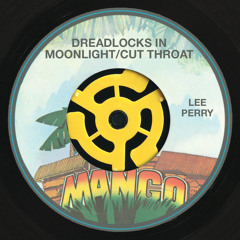 Dreadlocks In Moonlight