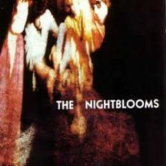 The Nightblooms - Sisters