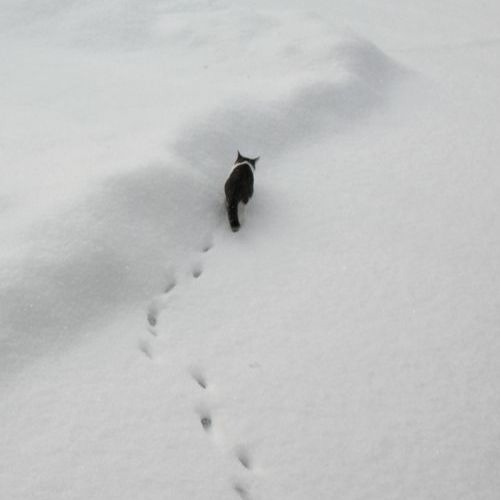 cant hold on much longer :c (tgwog x kiryano)