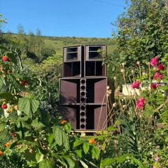 FORESTEDA COM OS DOENDE