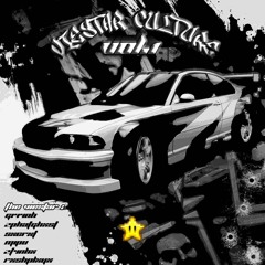 VIESTAR CULTURE VOL.1