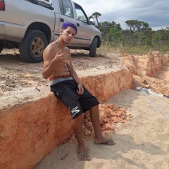 EU PASSO PAU NA CARA DELA - Ft MC GW - DJ BRIAN DO HELIPA