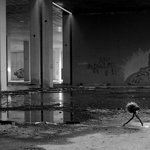 Manja Ristić: Sonic Ontology of Negligence (stereo version of an 8 channel sound exhibition)