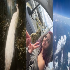 gross - snappa back ft. yungnigodrippin (prod. plagues)