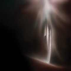 Skrillex, Varg2, Eurohead, Whitearmor - Someone Said