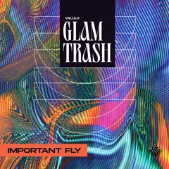 Vallilo - Important Fly