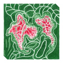 INVINC 27S Double Geography - Elephant's Ear / Viper's Bowstring OUT 5 JUNE 2020