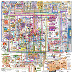 𝗖𝗛𝗢𝗞𝗜𝗡𝗚 𝗛𝗔𝗭𝗔𝗥𝗗 𝗦𝗠𝗔𝗟𝗟 𝗣𝗔𝗥𝗧𝗦 ⠀⃞