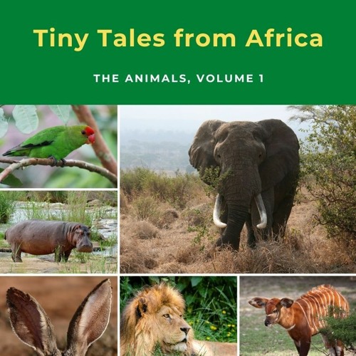 Tiny Tales from Africa: The Animals (volume 1)