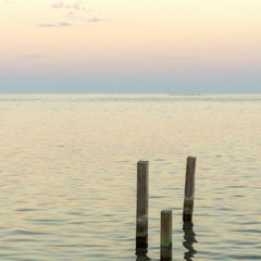 Porter Robinson - do-re-mi-fa-so-la-ti-do ID?   DROPPPPP