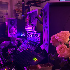 Analog Bellini - We never die.aif