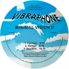 UCP006 - Minimal Vision - Minimal Vision II (Vibraphone Records)