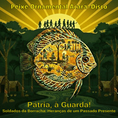 Pátria, à Guarda! Soldados da Borracha: Heranças de um Passado Presente