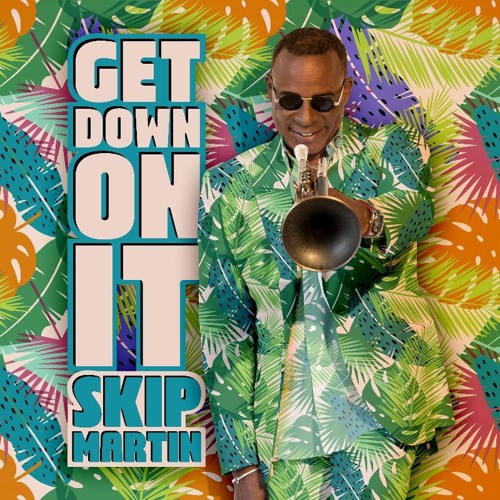 GET DOWN ON IT - SKIP MARTIN (Robinson Remix)