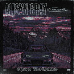 Open Wounds (feat. Pranav.Wav)