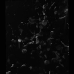iyrus - allday [prod. boyred x vuko]