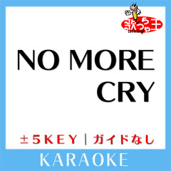 NO MORE CRY (原曲歌手: D-51)