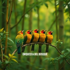 Orquesta del Bosque