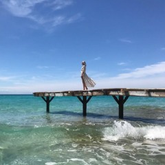 Summer flight
