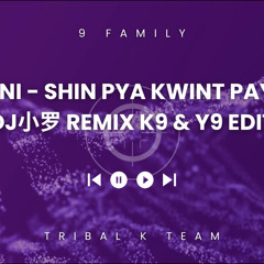 R ZarNi - Shin Pya Kwint Pay Par ( K9 & Y9 Edit 小罗 Remix )