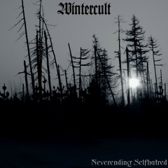 Frozen in Melancholy