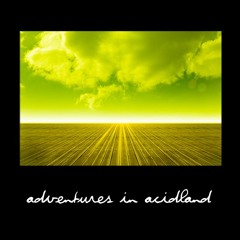 Adventures in Acidland - Acid Future House for Omnisphere