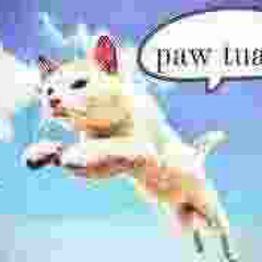 09riba meme