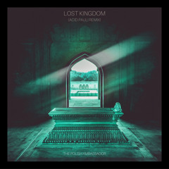 The Polish Ambassador, Acid Pauli - Lost Kingdom (Acid Pauli Remix)