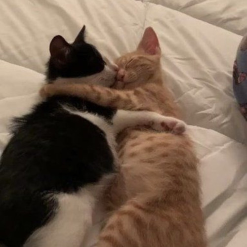 난 너를 보면(w.Kinn)