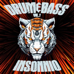Drum & Bass Vol.1 { Insonnio }