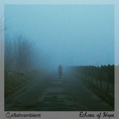 Echoes of Hope