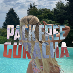 PACK FREE GUARACHA 2026