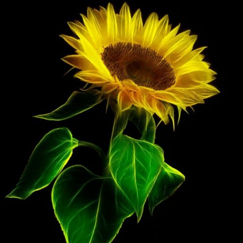 The Bright Side #07 | Julya Karma |