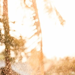 Sun Showered