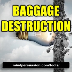 Baggage Destruction
