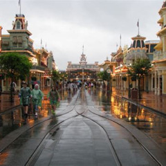 Best Things To Do In The Rain Orlando Tours Reviews