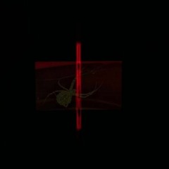 AHIRZAMAN - AMAN III [PHY-010]