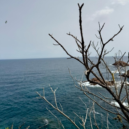 open to close@Laut, Barcelona (22March2025)