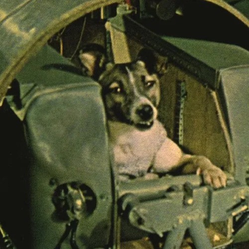 Greater Good (Laika)