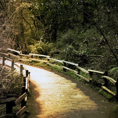 Terror Eimbert - Rise Of The Doomed (200 BPM)